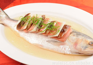 為什么吃清蒸海鰣魚都是半條？鰣魚有什么營養價值