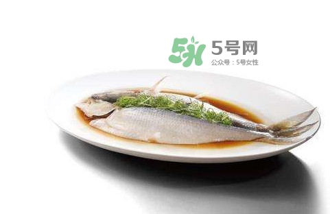 鰣魚刺多嗎？鰣魚可以養殖嗎