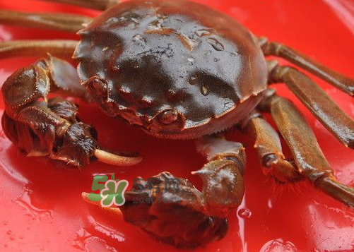 大閘蟹可以帶上高鐵嗎？坐高鐵可以帶大閘蟹嗎？