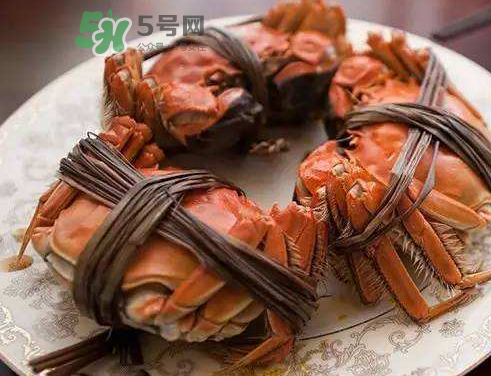大閘蟹可以水煮嗎？大閘蟹煮多久？