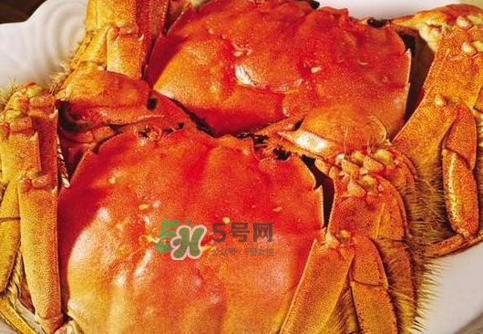 大閘蟹不能和什么一起吃？大閘蟹和什么食物相克？