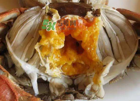 大閘蟹不能和什么一起吃？大閘蟹和什么食物相克？