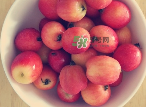 海棠果是涼性的嗎？海棠果是熱性還是涼性