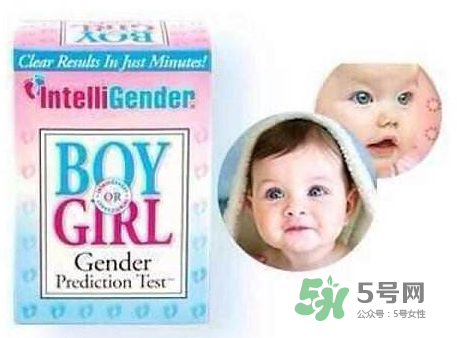 intelligender價格多少？intelligender多少錢？