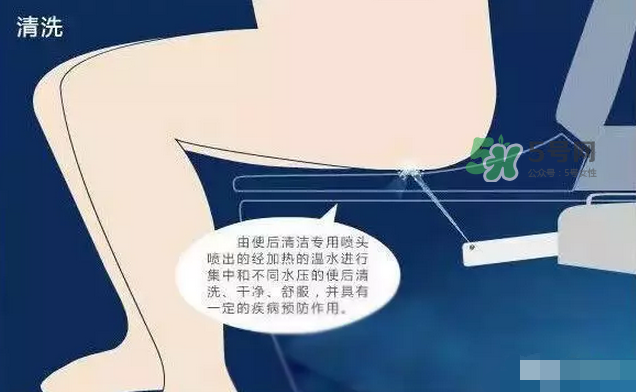 孕期可以蹲著上廁所嗎？孕期上廁所會(huì)壓到寶寶嗎？