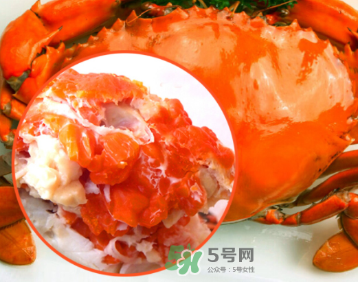 海螃蟹什么時候最肥？海螃蟹什么季節(jié)最好吃？