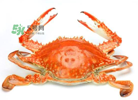 ?花蟹可以放冰箱嗎？花蟹怎么保存才新鮮？