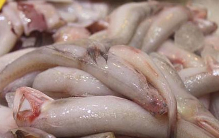 龍頭魚怎么做好吃？龍頭魚干怎么做好吃