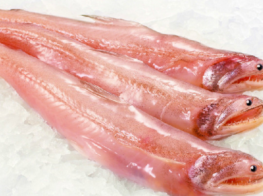 龍頭魚(yú)有刺嗎？龍頭魚(yú)有魚(yú)鱗嗎