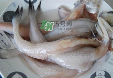 龍頭魚怎么殺？龍頭魚怎么處理？