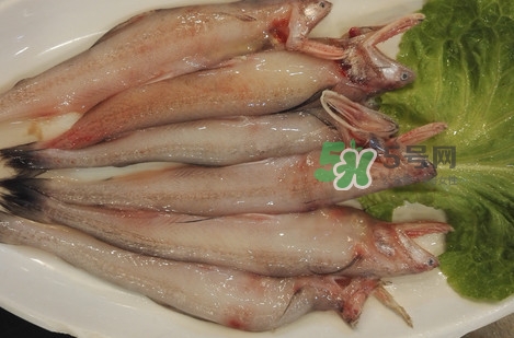 龍頭魚怎么殺？龍頭魚怎么處理？