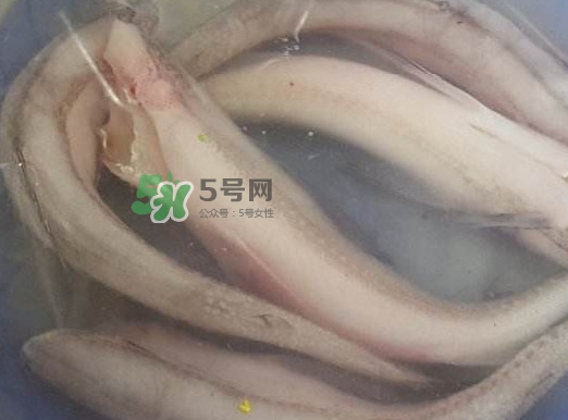 買龍頭魚怎么挑選？冰凍龍頭魚怎么去內臟