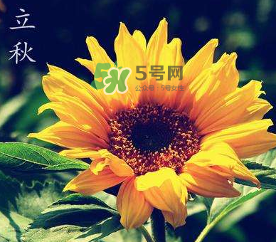 立秋后是不是早晚天氣涼？立秋后天氣有什么變化？