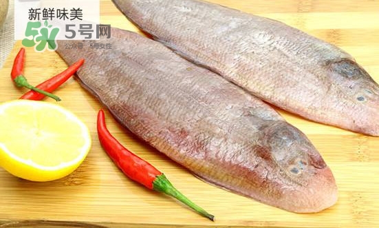 龍利魚怎么挑選？龍利魚與越南巴沙魚的區別