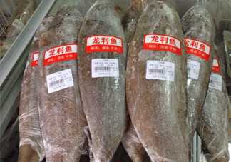 龍利魚怎么挑選？龍利魚與越南巴沙魚的區別
