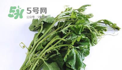 南瓜苗怎么做好吃？南瓜苗怎么撕？