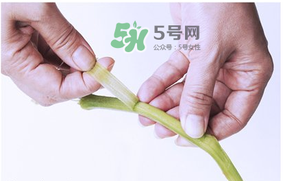 南瓜苗怎么做好吃？南瓜苗怎么撕？