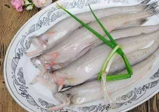 海鮮水潺孕婦可以吃嗎？水潺魚的營養價值