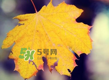 立秋后吃什么好？立秋后怎么養生？