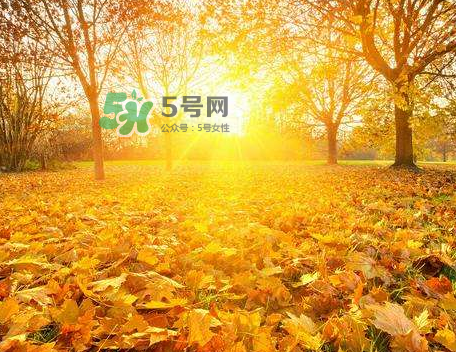 立秋后吃什么好？立秋后怎么養生？