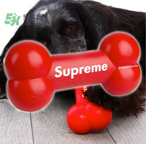 supreme狗骨頭玩具是真的嗎？supreme骨頭玩具會發售嗎？