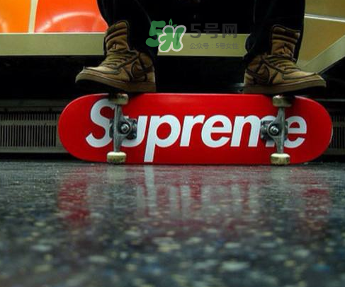 supreme狗骨頭玩具是真的嗎？supreme骨頭玩具會發售嗎？