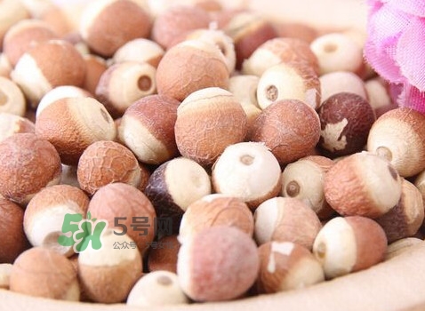雞頭米是涼性的嗎？雞頭米是哪里的特產