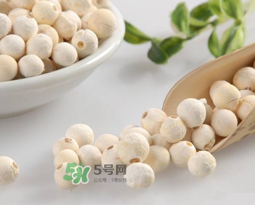 雞頭米多少錢一斤？芡實和雞頭米的區別