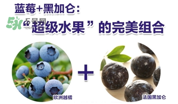 fancl藍莓護眼怎么樣？fancl藍莓護眼和pola護眼哪個好