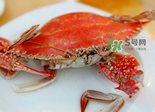 梭子蟹可以清蒸嗎？梭子蟹蒸還是煮？