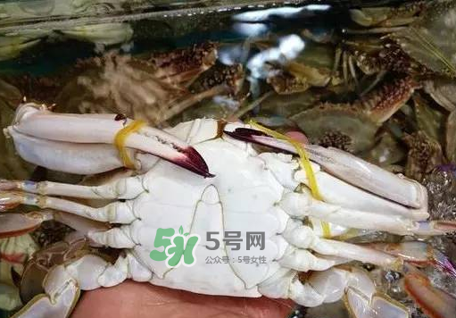梭子蟹放冷藏還是冷凍？梭子蟹可以放速凍嗎？
