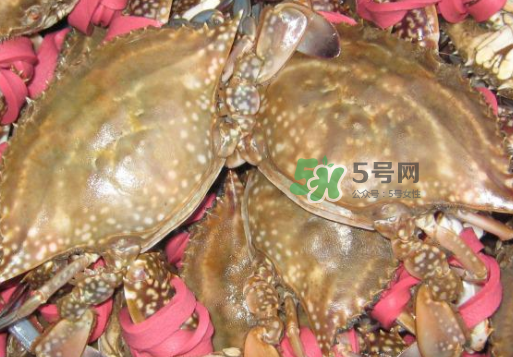 梭子蟹放冷藏還是冷凍？梭子蟹可以放速凍嗎？