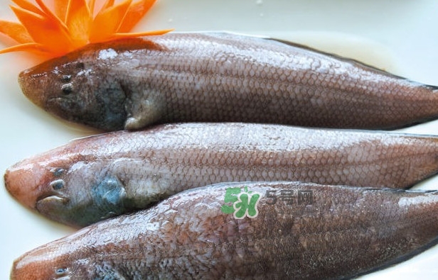 é¾åˆ©é­šæ˜¯ç™¼ç‰©å—Žï¼Ÿæ‡·å­•èƒ½ä¸èƒ½åƒé¾åˆ©é­š