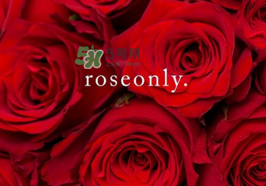 2017七夕禮盒roseonly多少錢？roseonly巨型玫瑰禮盒多少錢？