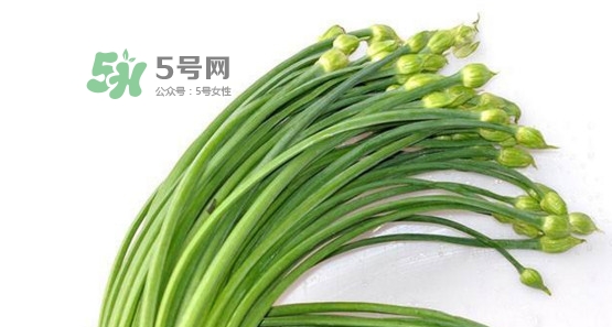 韭菜苔孕婦能吃嗎？孕婦可以吃韭菜苔嗎