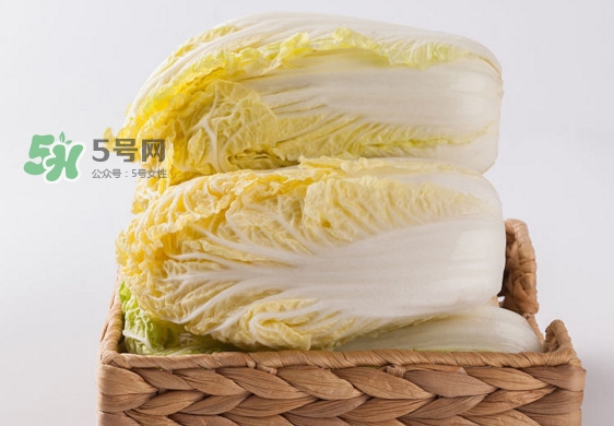 娃娃菜是什么季節的？娃娃菜什么時候種植