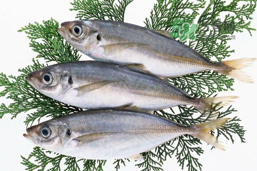 龍利魚是鱈魚嗎？龍利魚和鱈魚哪個(gè)好吃
