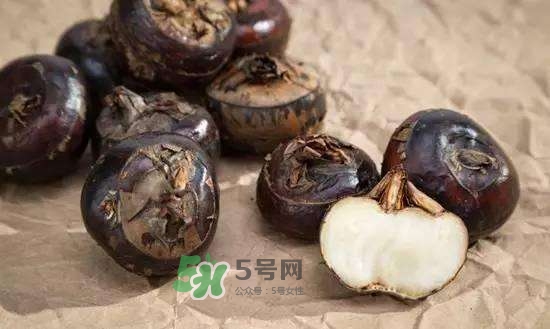 野荸薺是什么樣子的？野荸薺的營養價值
