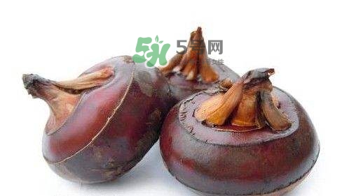 野荸薺怎么吃？野荸薺的食用功效
