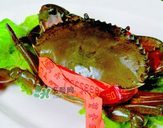 青蟹能放幾天？青蟹能活多久？
