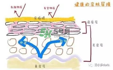 外油內干的皮膚怎么護理 先補水還是先控油