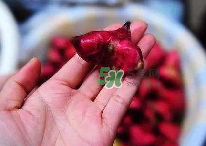 紅菱怎么吃？吃紅菱有什么好處？