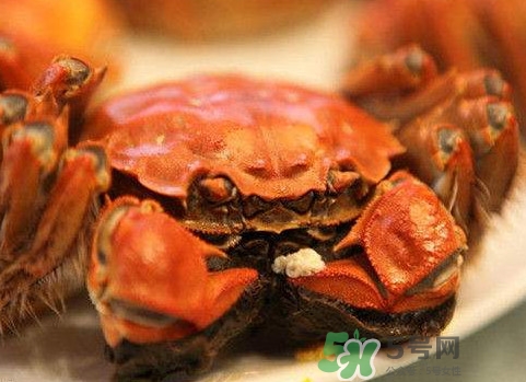 太湖蟹什么時候上市？太湖蟹幾月份有