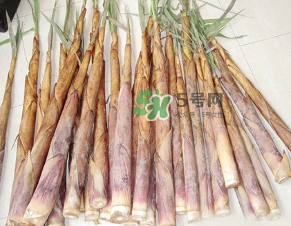 苦筍是什么竹子？苦筍是發物嗎
