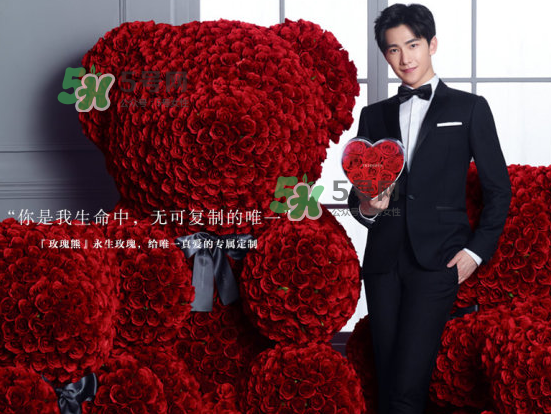 roseonly熊怎么樣？roseonly玫瑰熊好看嗎？