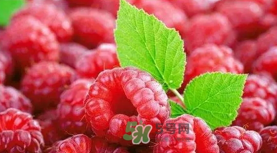 pola莓果酵素怎么吃？pola紅莓酵素怎么樣？