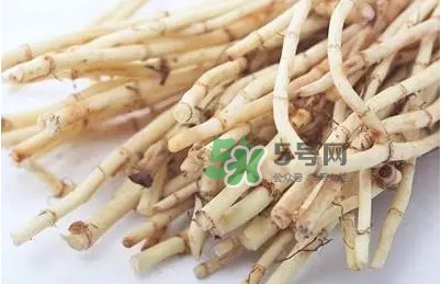 魚腥草什么季節吃最好？魚腥草什么時候吃最好