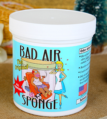 Bad Air Sponge有用嗎？Bad Air Sponge效果如何？