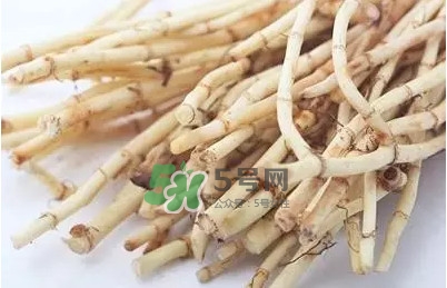 折耳根怎么清洗？折耳根如何冼才干凈