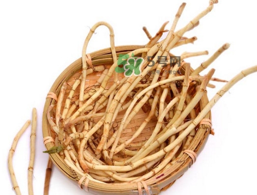 折耳根有毒嗎？折耳根有毒吃了會傷腎？